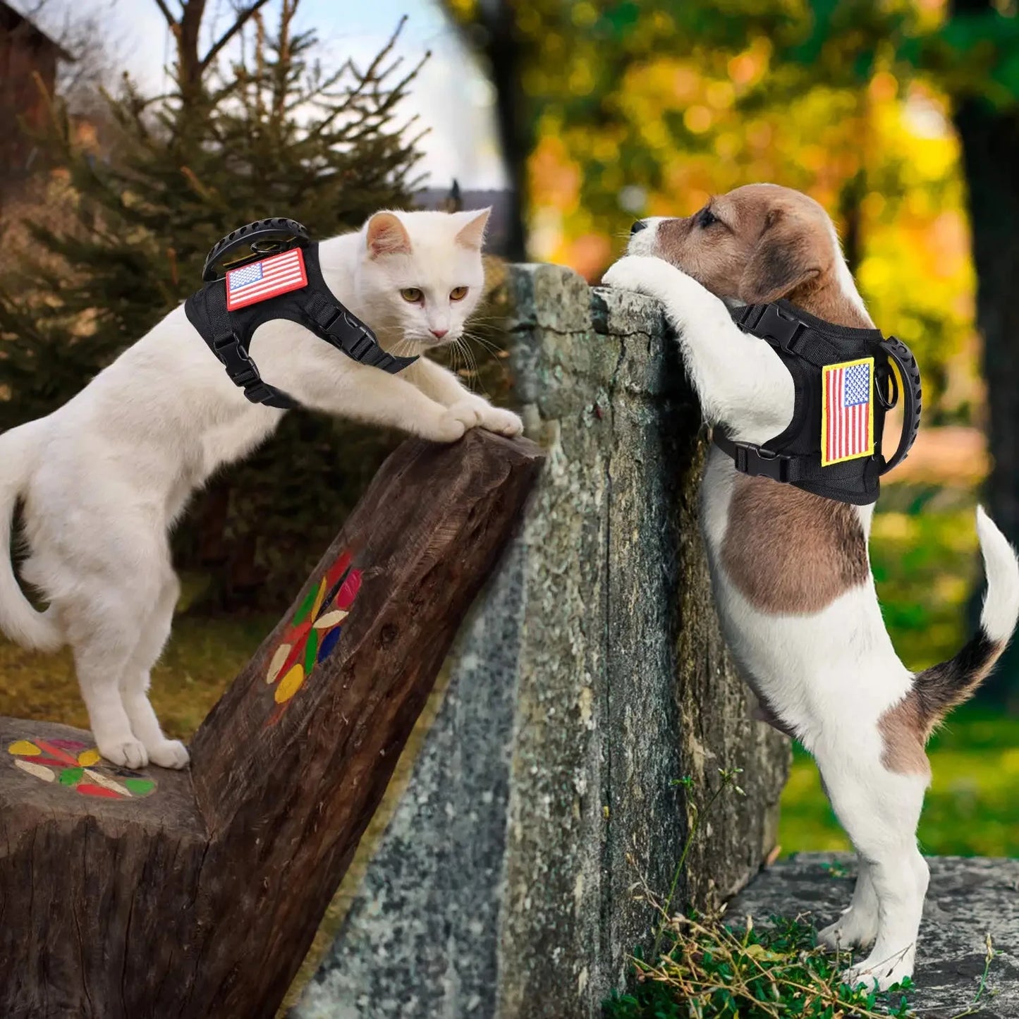 Adjustable Nylon Tactical Harness Leash Set For Cats And Small Dogs