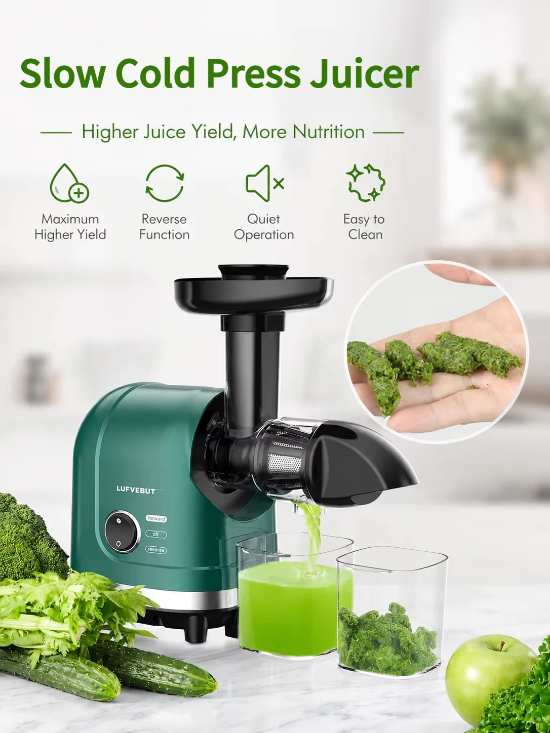Slow Masticating Cold Press Juicer Reverse Function BPA-Free Quiet Easy Clean High Yield Fruit Vegetable Juice Extractor Home