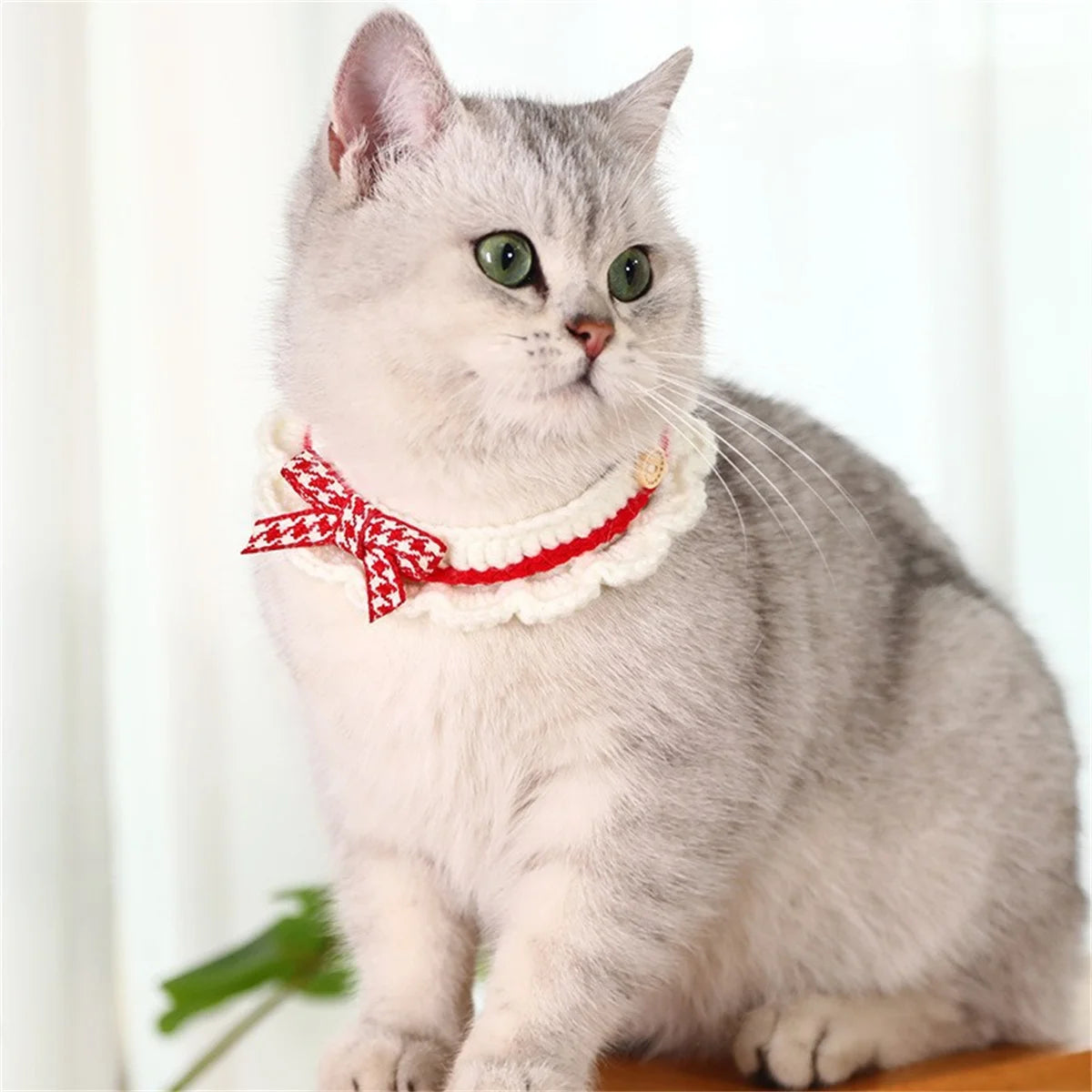 Adorable Hand Knitted Bow Collar For Cats And Dogs