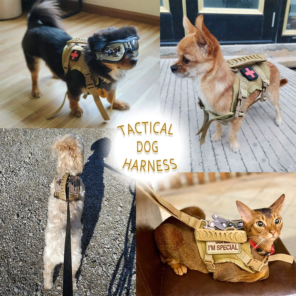 Adjustable Nylon Tactical Harness Leash Set For Cats And Small Dogs