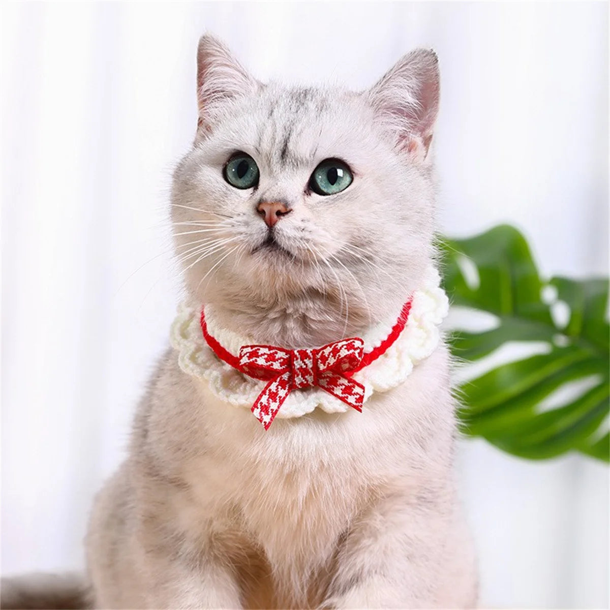 Adorable Hand Knitted Bow Collar For Cats And Dogs
